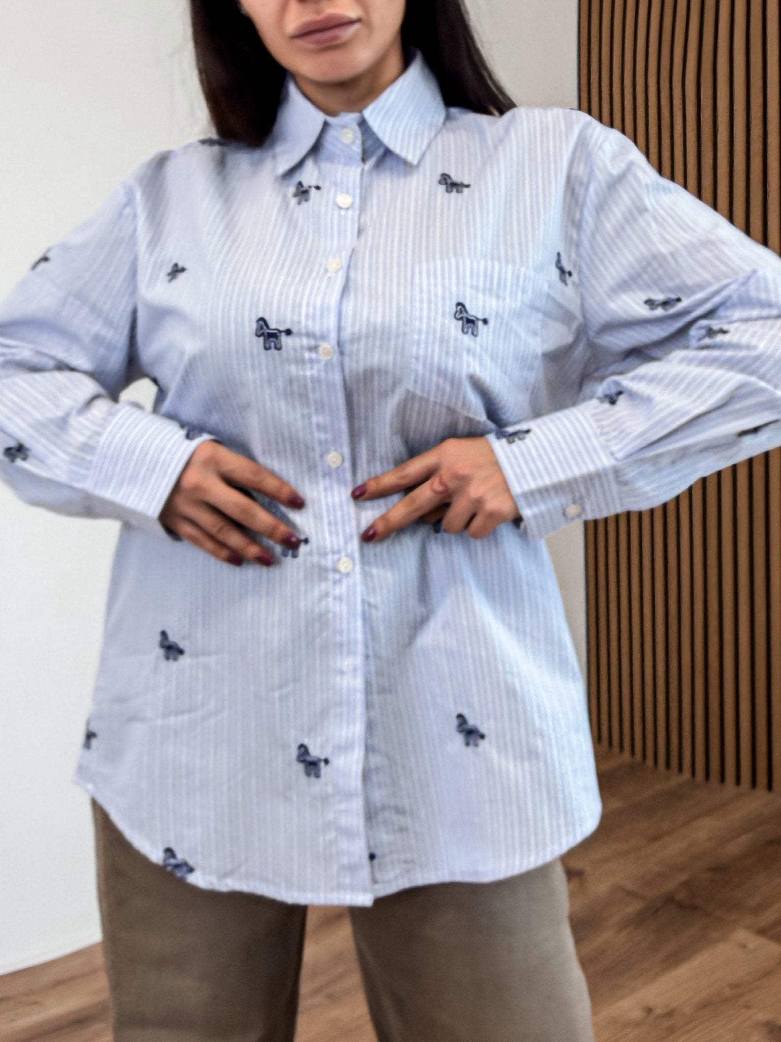 Camicia Pony - Celeste - SAINTH